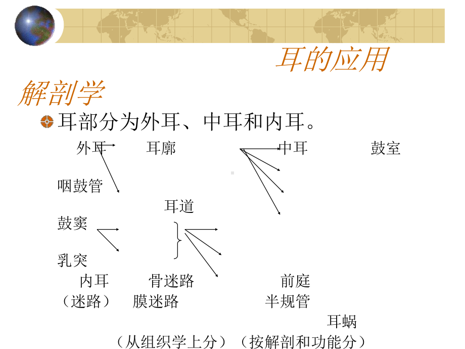 耳鼻咽喉头颈外科学耳的应用解剖学和生理学课课件.ppt_第2页