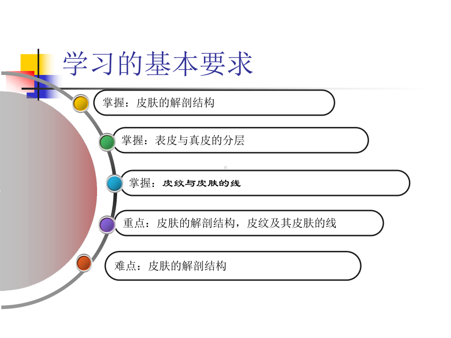 美容皮肤科学课件.ppt_第2页