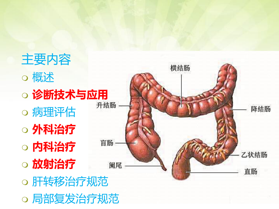 结直肠癌诊疗指南-课件.ppt_第2页