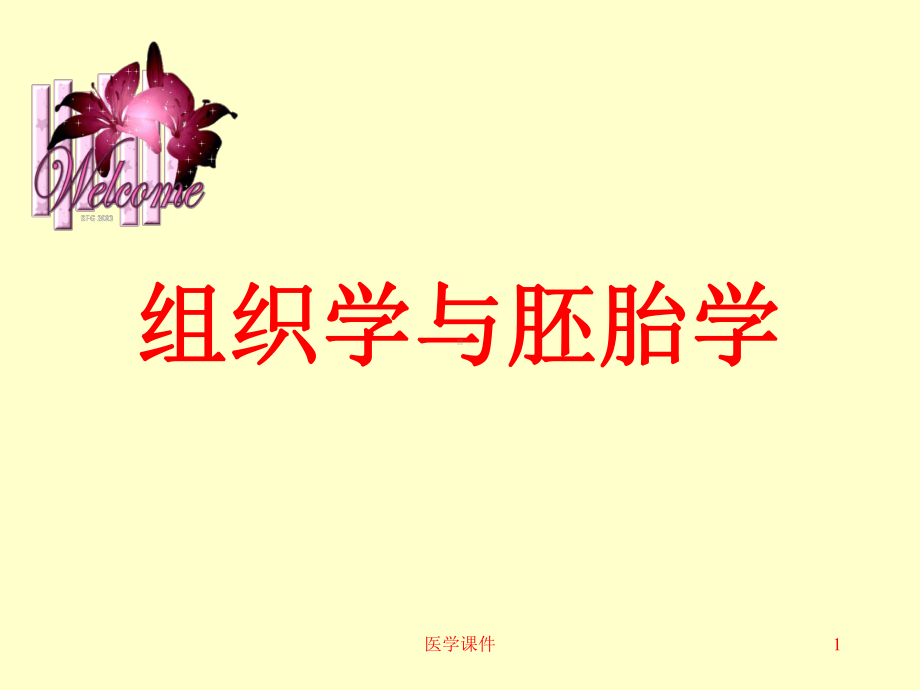 组织学与胚胎学-第7章-神经组织-课件.ppt_第1页