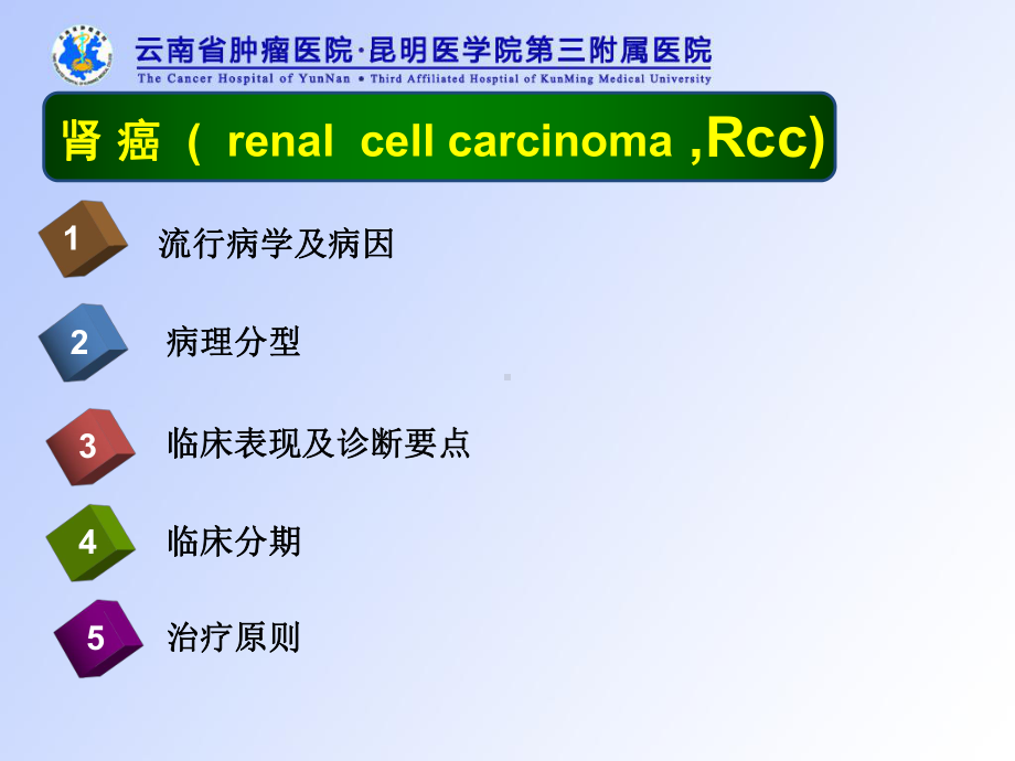 肿瘤学肾癌--教学课件1课件.ppt_第2页