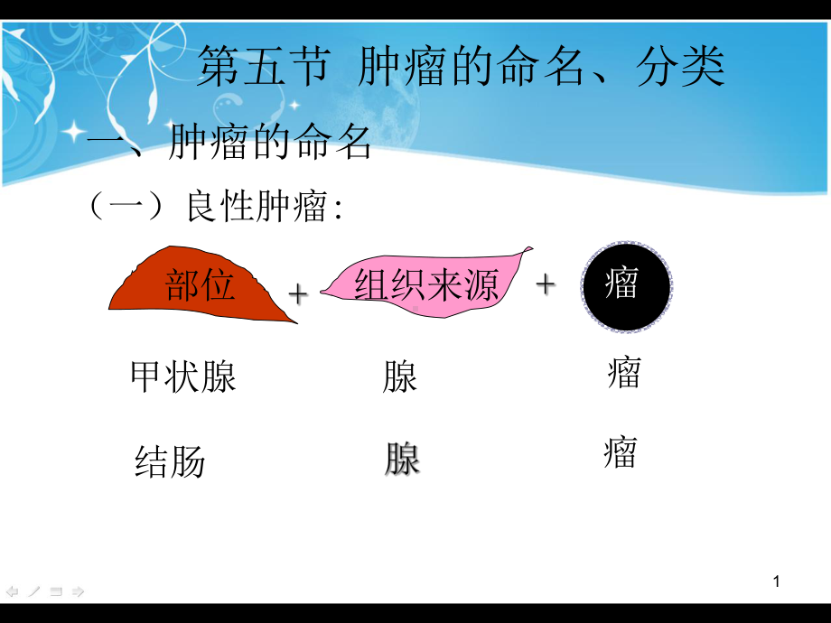 肿瘤的命名和分类课件.ppt_第1页