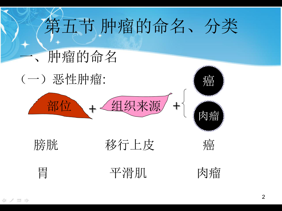 肿瘤的命名和分类课件.ppt_第2页