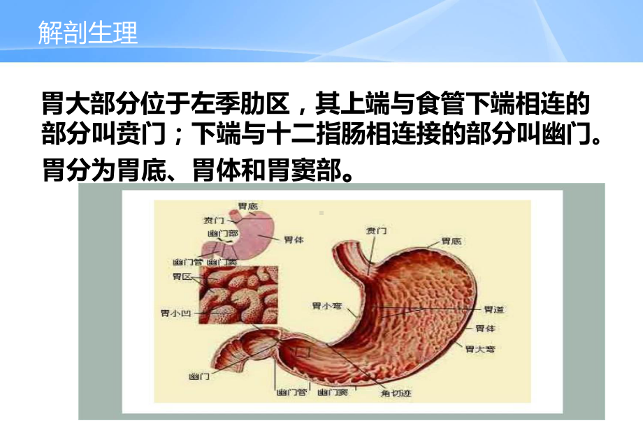 胃癌病人的护理ppt课件.ppt_第2页