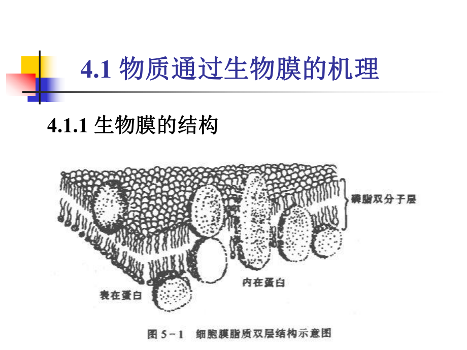 第四章生物圈和生物污染课件.ppt_第2页