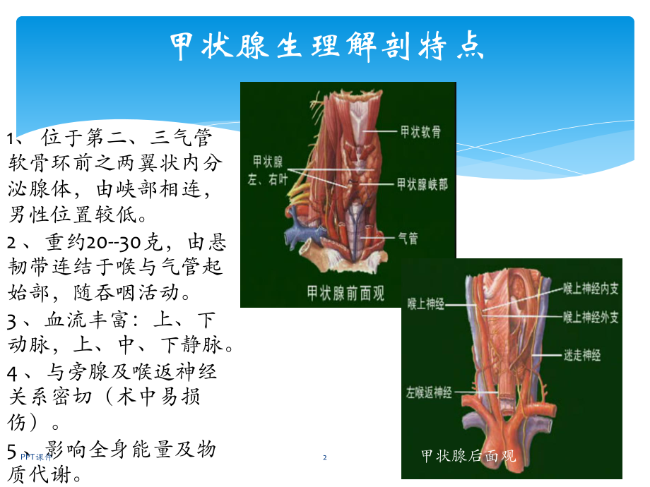 甲状腺术式和切口与入路选择的研究进展-课课件.ppt_第2页