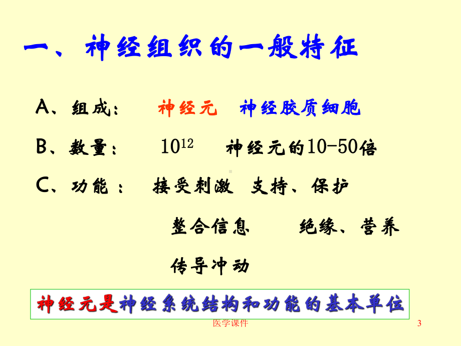 组织学与胚胎学--神经组织-课件.ppt_第3页