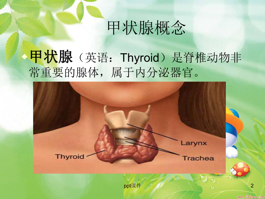 甲状腺围手术期护理-课件.ppt_第2页