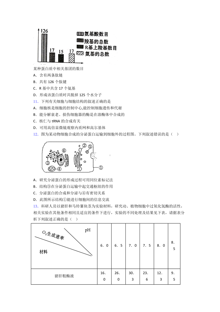 新高一生物必修一期末考试模拟题含答案.doc_第3页