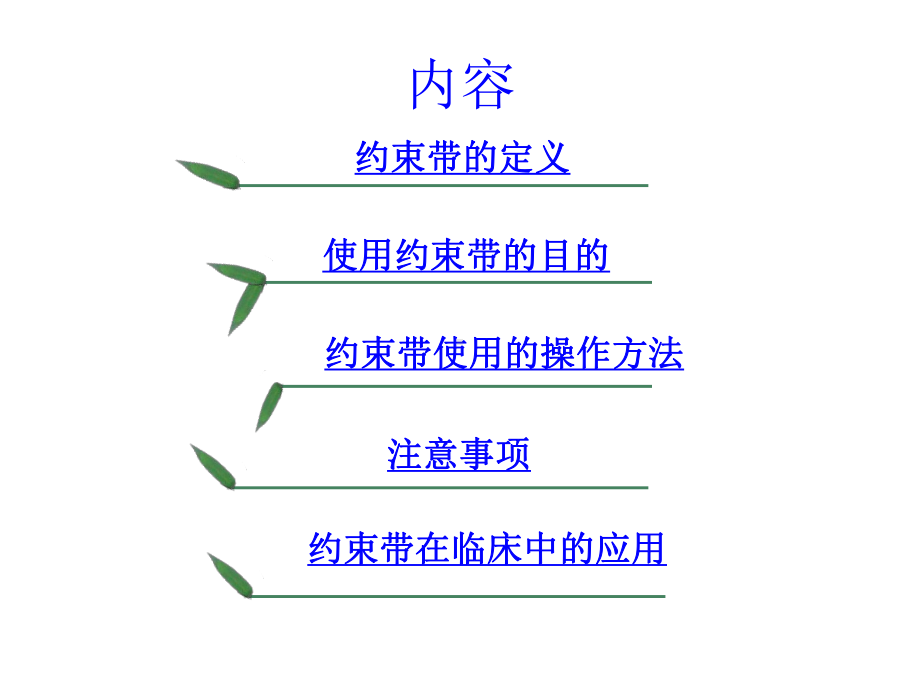 约束带的使用(同名306)课件.ppt_第2页