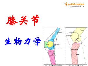 膝关节生物力学医学课件-.ppt