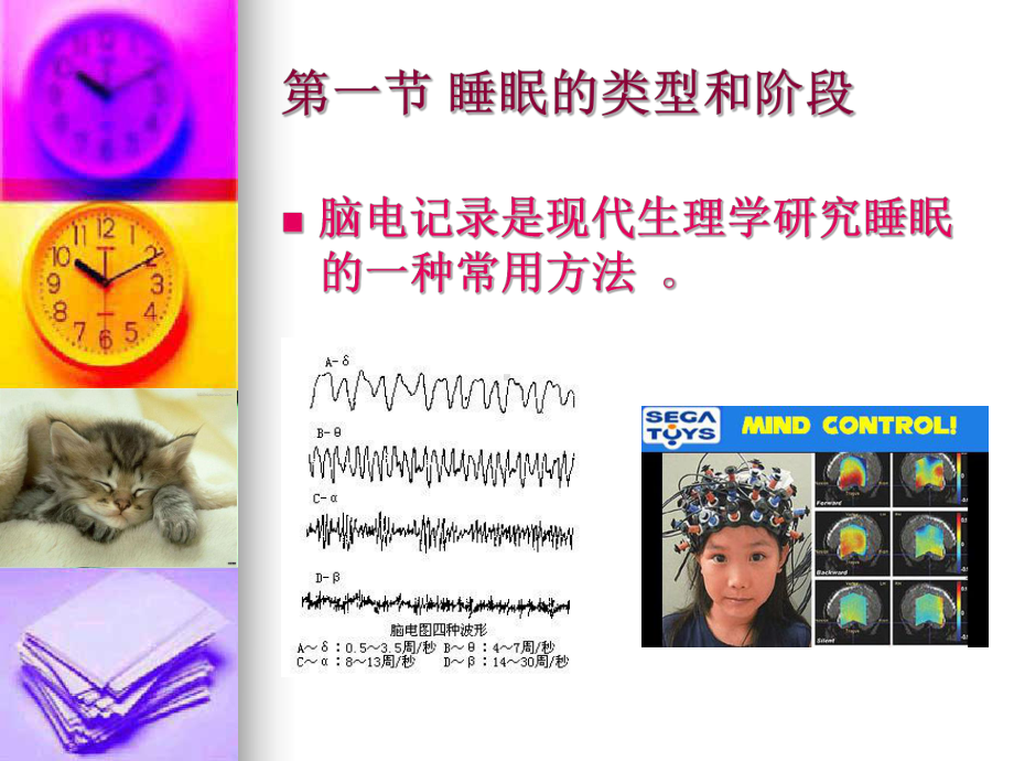 生理心理学第十四章睡眠和节律行为课件.ppt_第2页