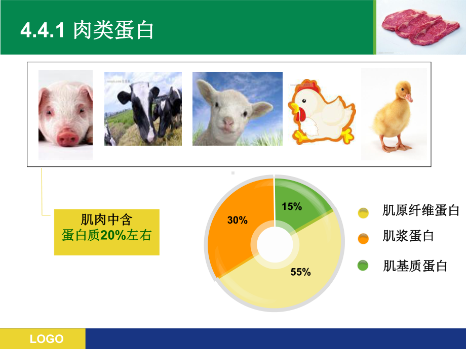 第四章-蛋白质-第四节详解课件.ppt_第2页