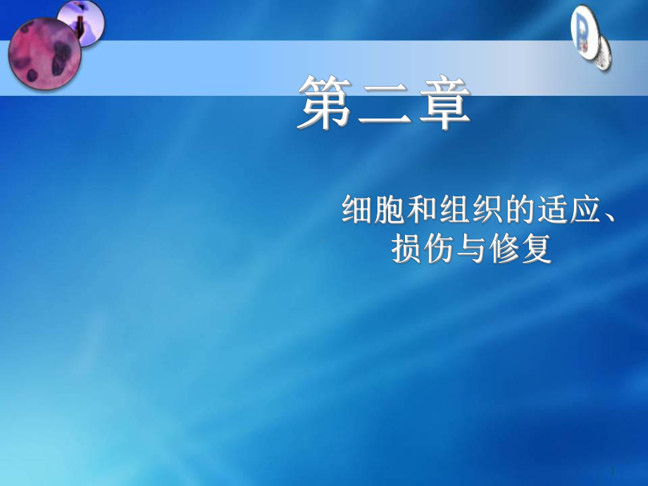 细胞和组织的适应、损伤与修复课件.ppt_第1页