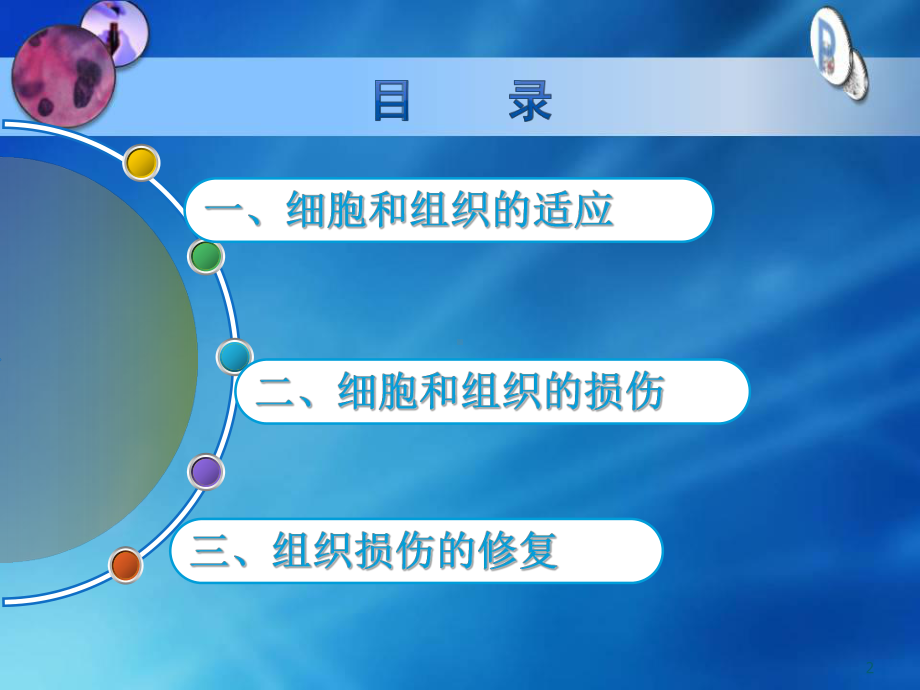 细胞和组织的适应、损伤与修复课件.ppt_第2页