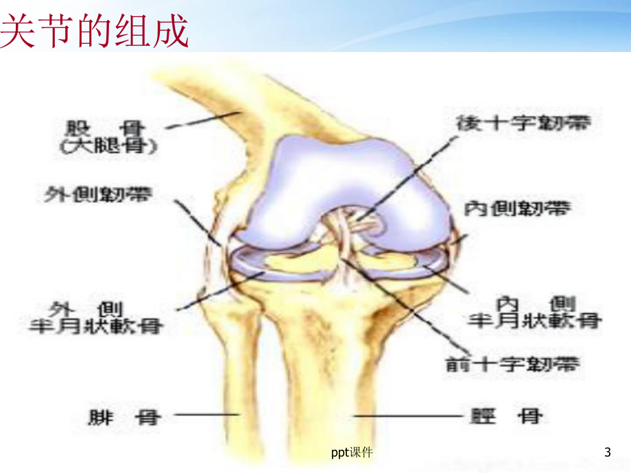 膝关节置换术的手术配合和护理问题-课件.ppt_第3页