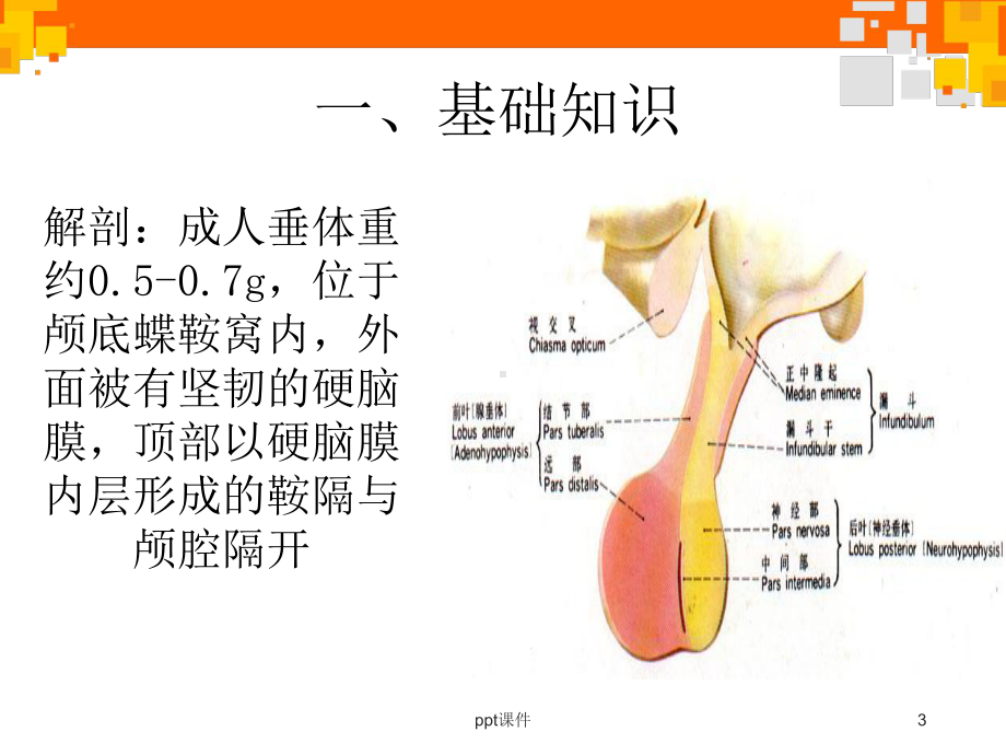 腺垂体功能减退症病人的护理-课件.ppt_第3页