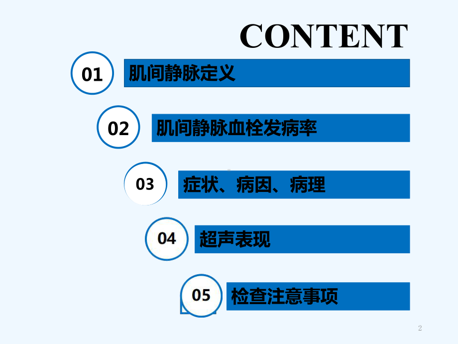 肌间静脉-课件.ppt_第2页