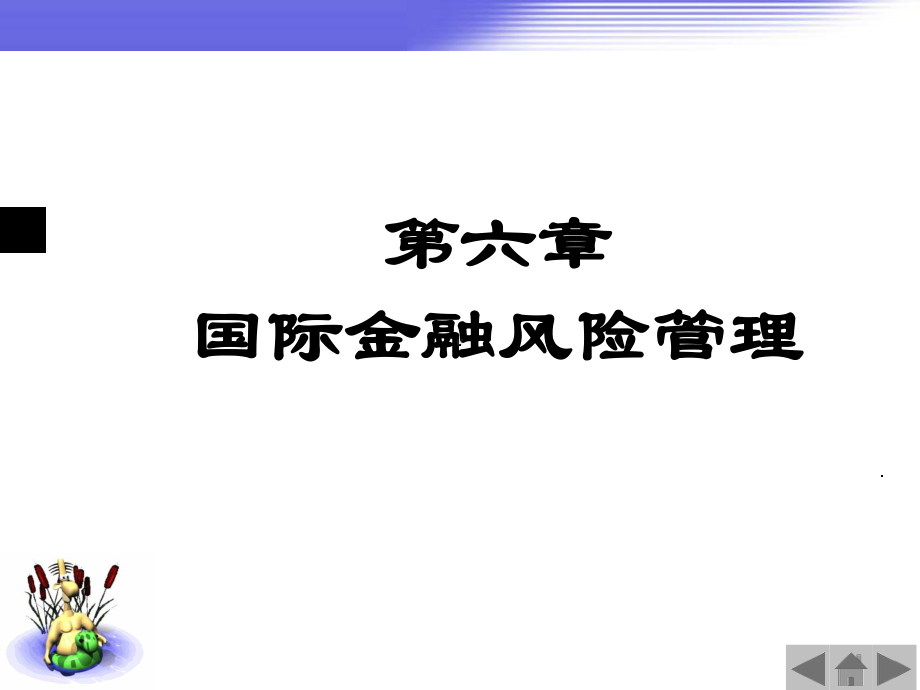 第6章-国际金融风险管理课件.ppt_第1页