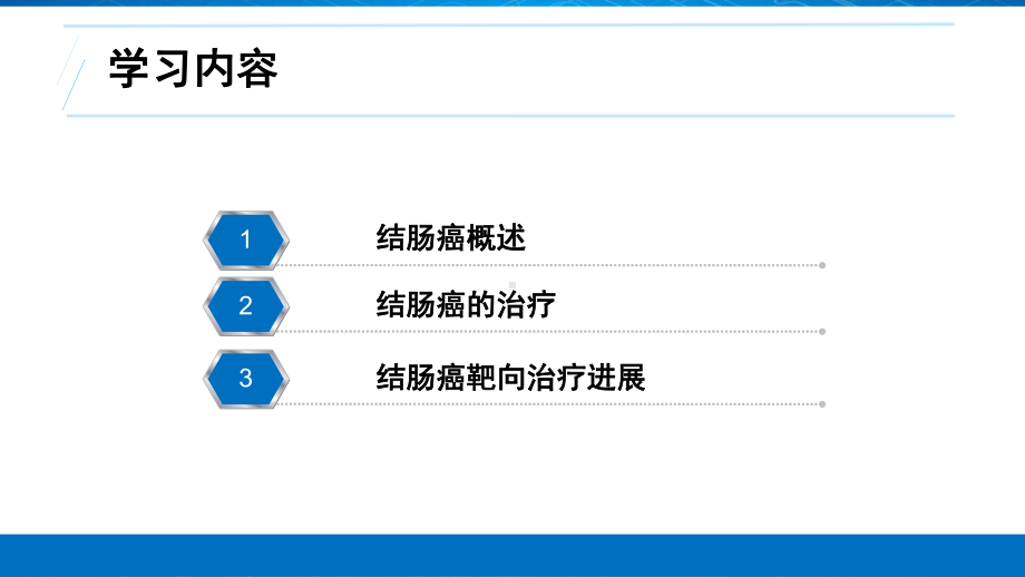 结肠癌靶向治疗的最新进展-课件.ppt_第2页