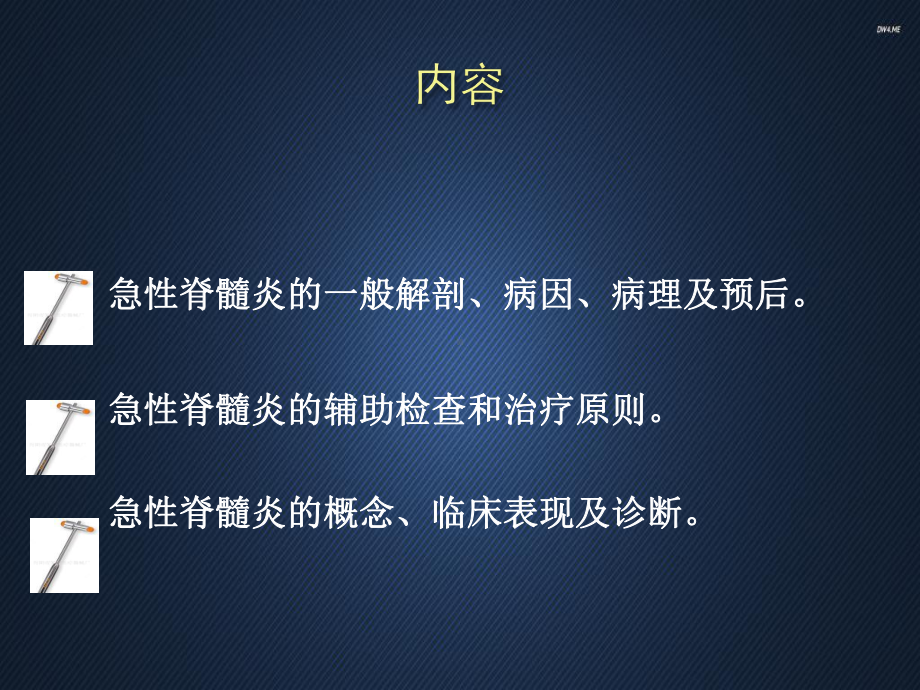 脊髓炎-教学讲解课件.ppt_第2页