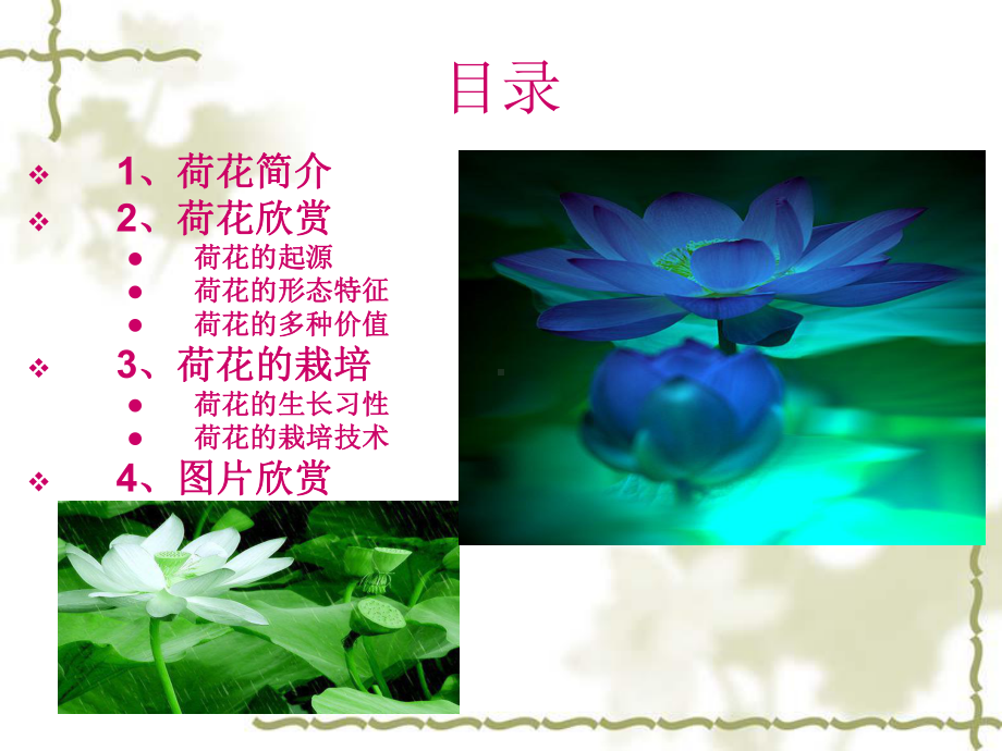 荷花的欣赏和栽培技术 .ppt_第2页