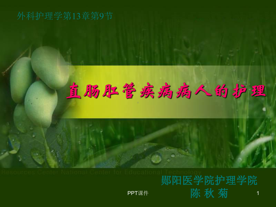 直肠肛管疾病病人的护理-课件.ppt_第1页