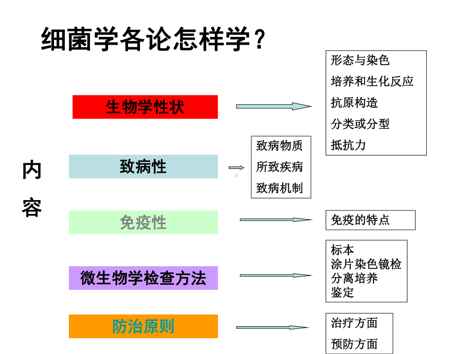 第一节化脓性球菌课件.ppt_第2页