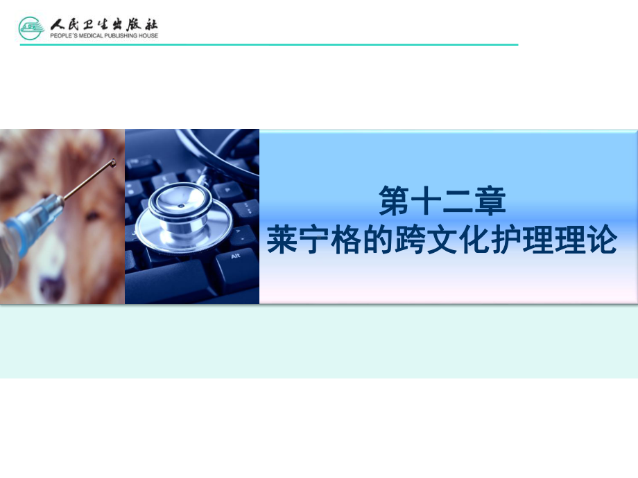 第十二章-莱宁格的跨文化护理理论课件.ppt_第2页