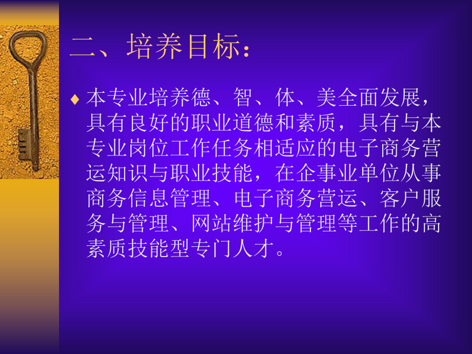 电子商务专业人才培养方案.ppt_第2页