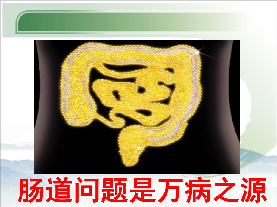 胃肠健康讲座课件1.ppt_第2页