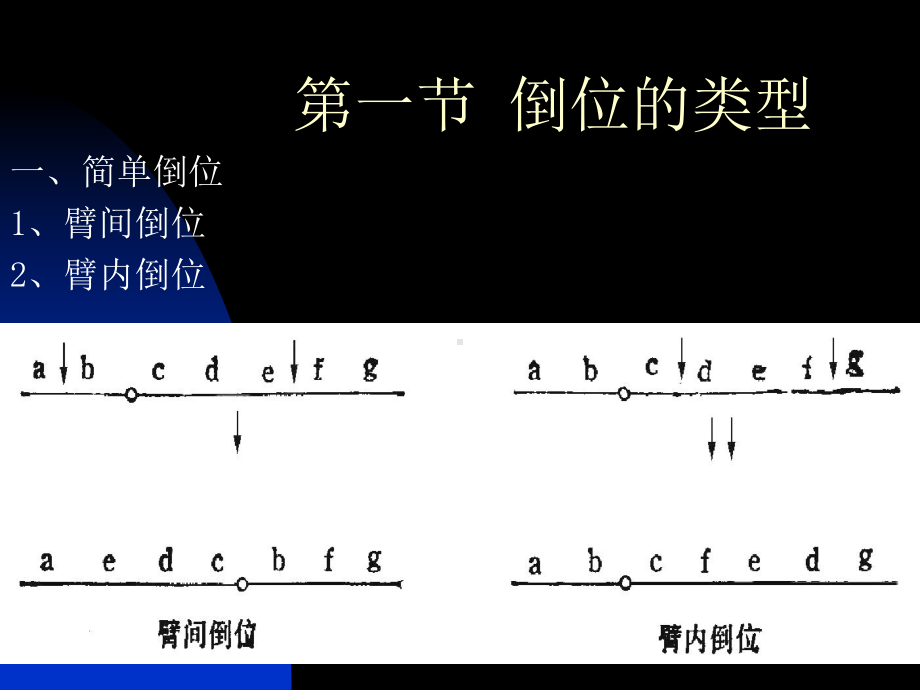 第五章-染色体倒位-课件.ppt_第2页