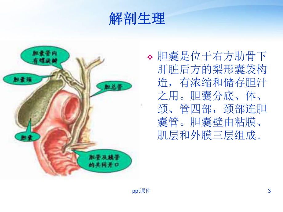 胆囊炎胆囊结石病人护理（外科）-课件.ppt_第3页