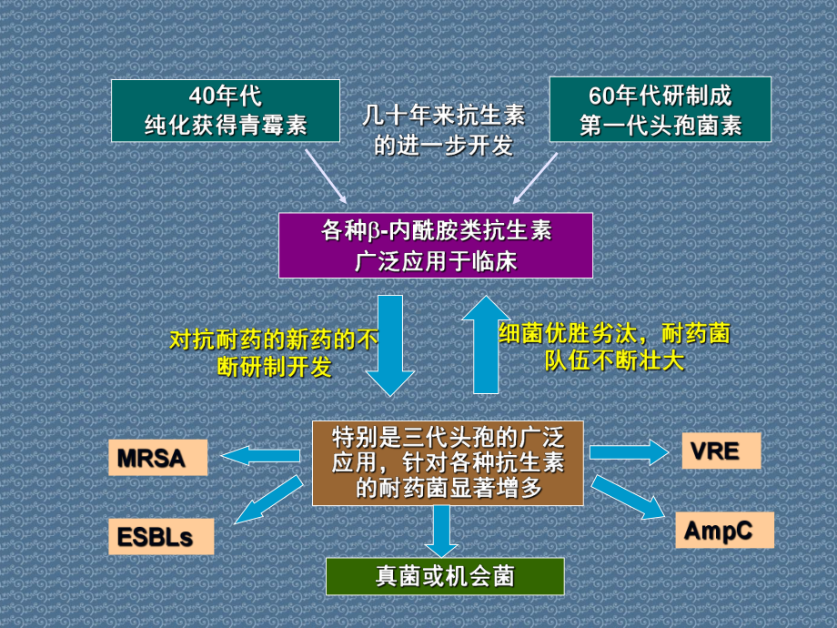 细菌耐药的现状、特点和合理应用课件.ppt_第2页