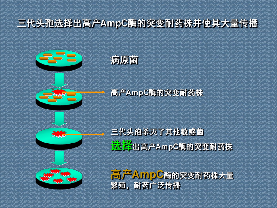 细菌耐药的现状、特点和合理应用课件.ppt_第3页