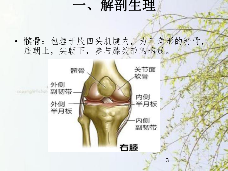 髌骨骨折的护理课件(同名374).ppt_第3页