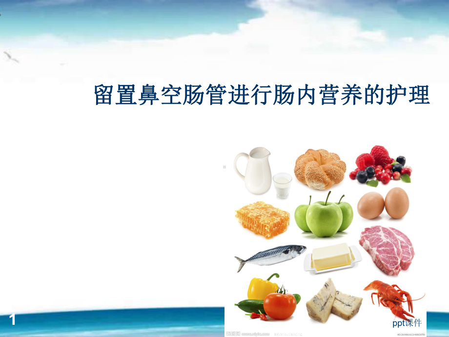 鼻空肠管护理-课件.ppt_第1页