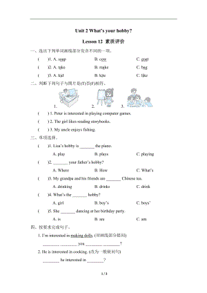 Unit 2 What’s your hobby？Lesson 12 素质评价.doc