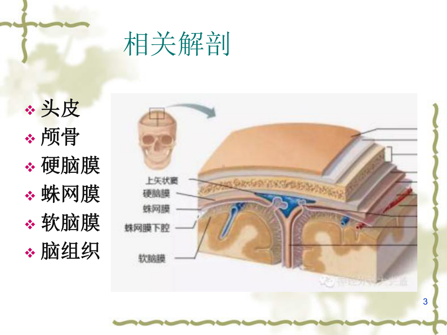 颅脑手术护理配合课件.ppt_第3页