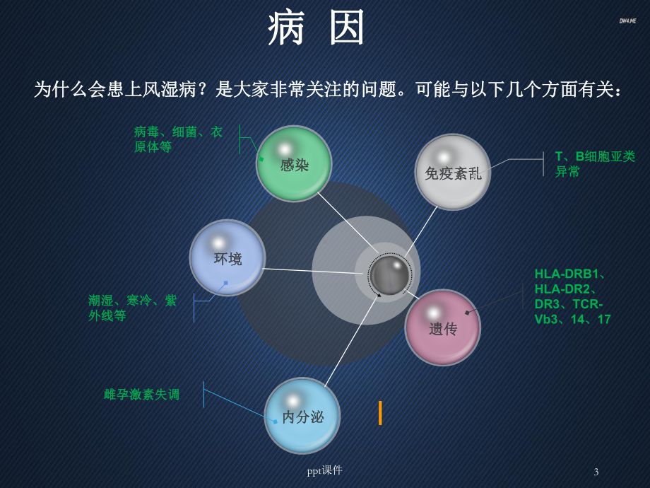 风湿病-教学讲解课件.ppt_第3页