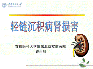 轻链沉积病方案.ppt