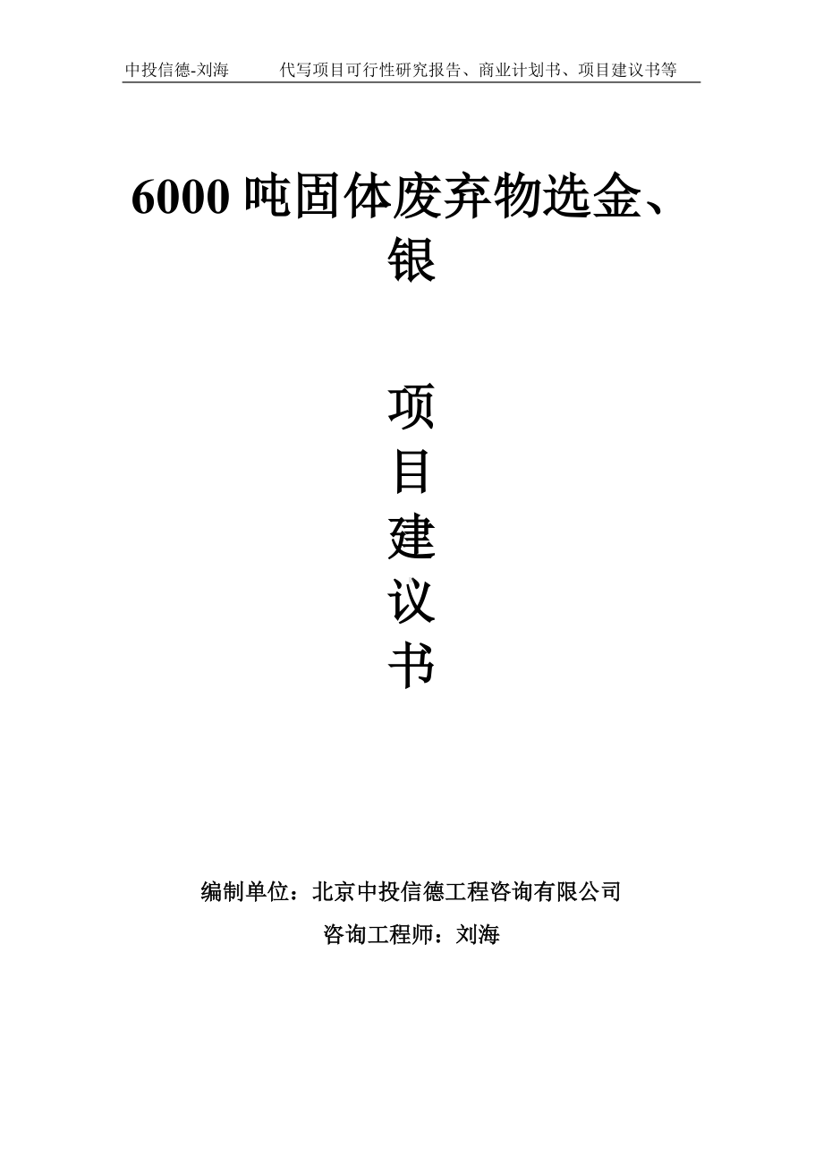 6000吨固体废弃物选金、银项目建议书写作模板.doc_第1页