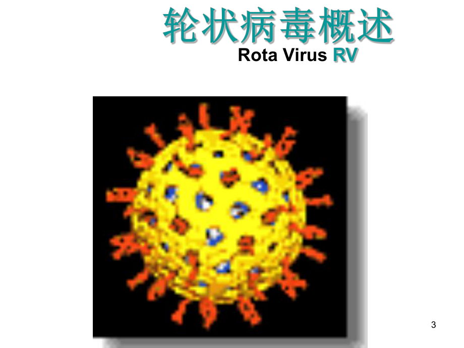 轮状病毒感染的诊疗进展课件.ppt_第3页