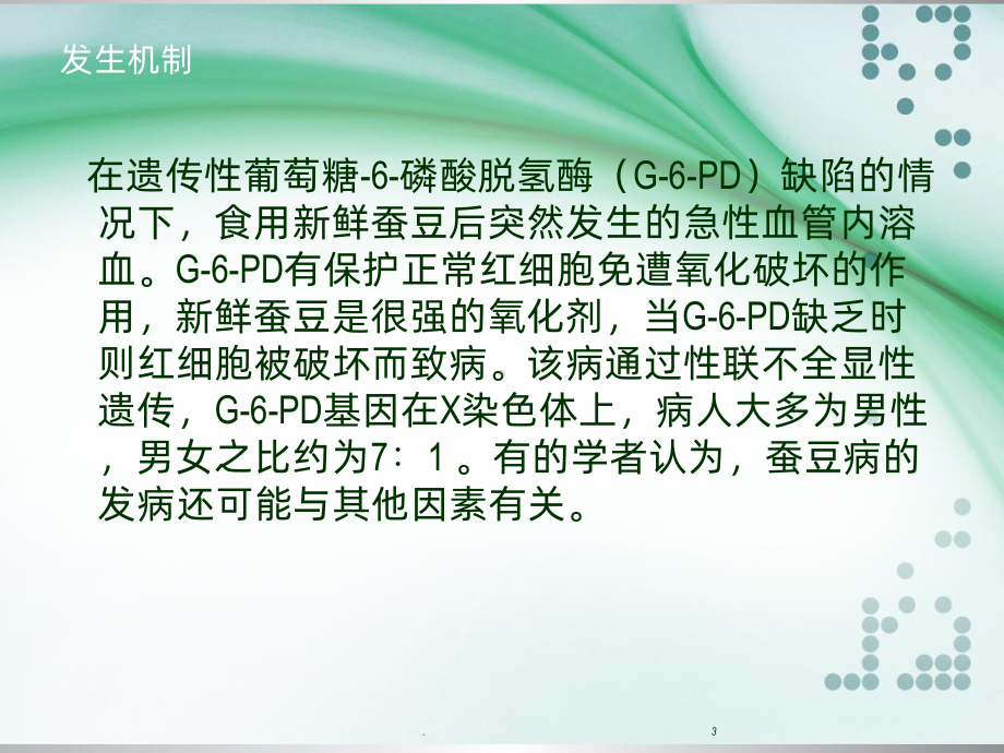 蚕豆病教学讲解课件.ppt_第3页