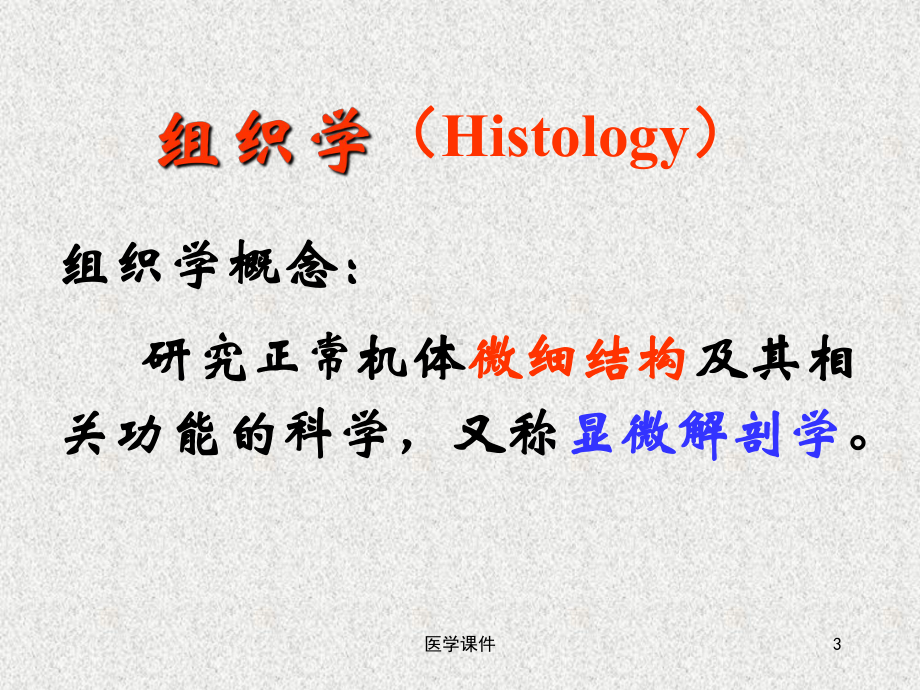 组织学与胚胎学-绪论与上皮-课件.ppt_第3页