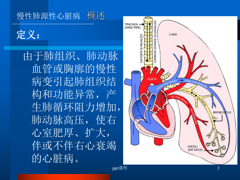 肺心病(内科学)-课件.ppt_第3页