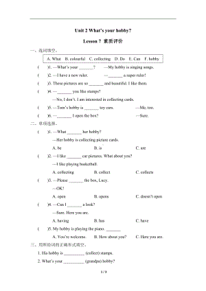 Unit 2 What’s your hobby？Lesson 7 素质评价.doc