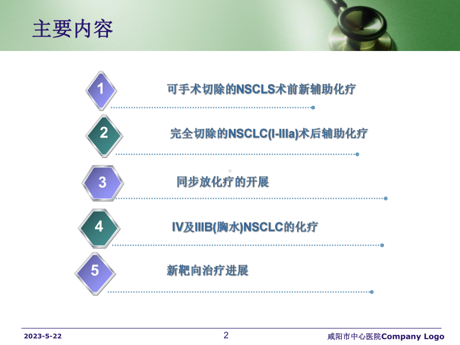 非小细胞肺癌内科资料课件.ppt_第2页