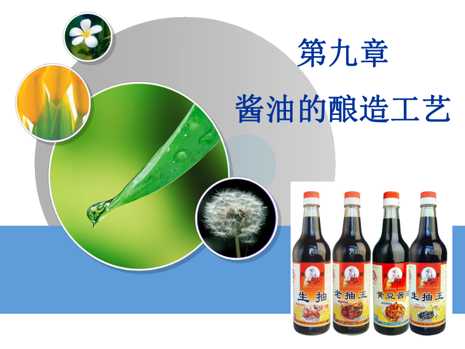 酱油的酿造工艺课件.ppt_第1页