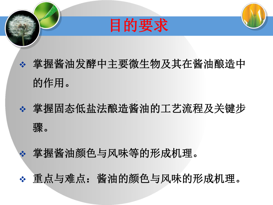 酱油的酿造工艺课件.ppt_第2页